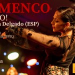 Flamenco en vivo!